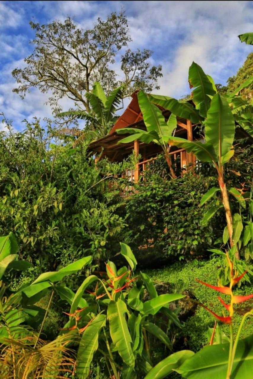 Country house Monte Magico Tamesis